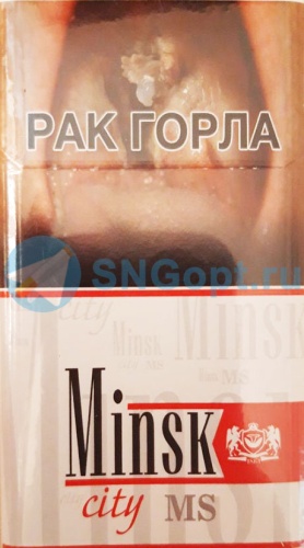Minsk City MS