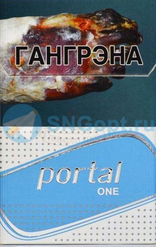 Portal One