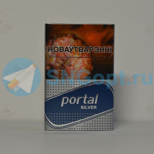 Portal Silver фото 3