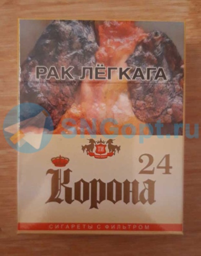 Корона 24 фото 3
