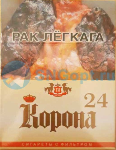 Корона 24