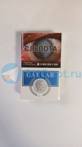 Caesar / Цезарь (МРЦ 120) фото 2