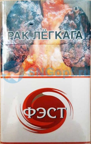 Фэст
